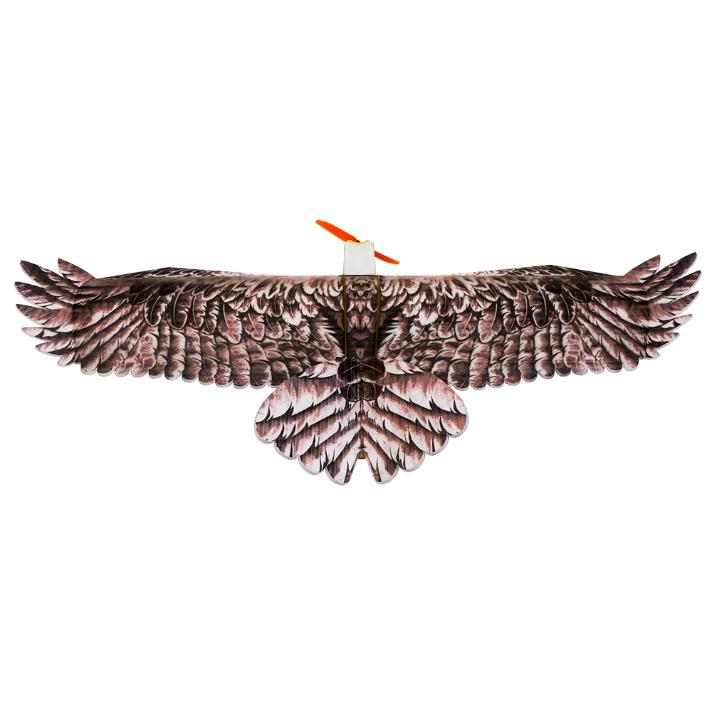 DW Hobby Eagle II EPP Airplane - Rc Hobby Plane recension och pris