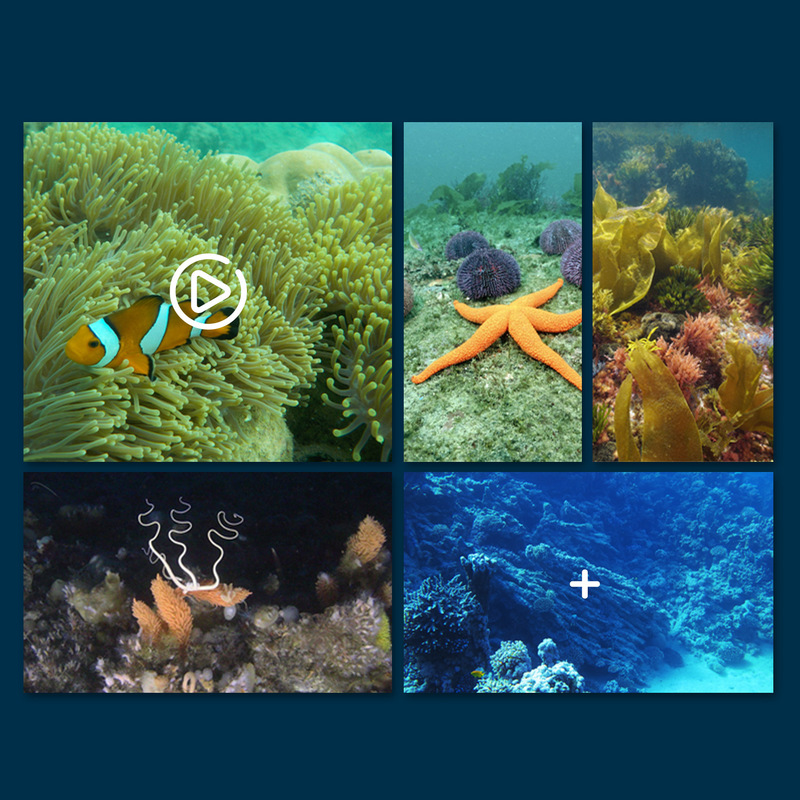 Mini Wifi Rc Underwater Camera - Rc Hobby Photos recension och pris